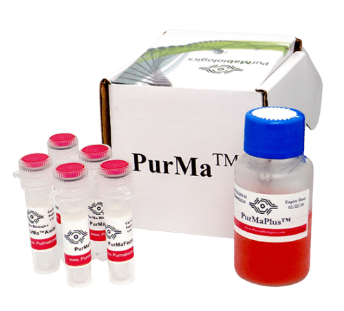 PurMaFectin™ Transfection Reagent